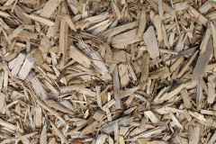 biomass boilers Burdonshill